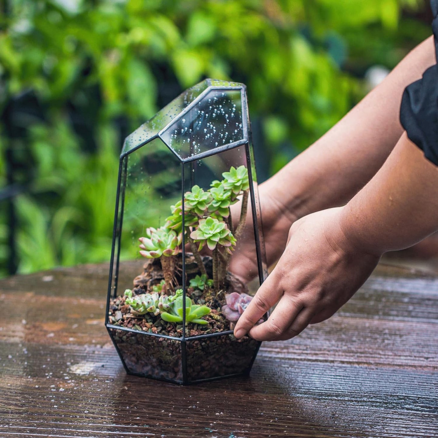 Geometric Plants Terrarium Planter - Glass Terrarium for Succulent, Cacti - 6.5X5.7X9.8 Inches - Indoor Tabletop Irregular Opened Container Pot for Home, Garden, Office Decor, Black (No Plants)